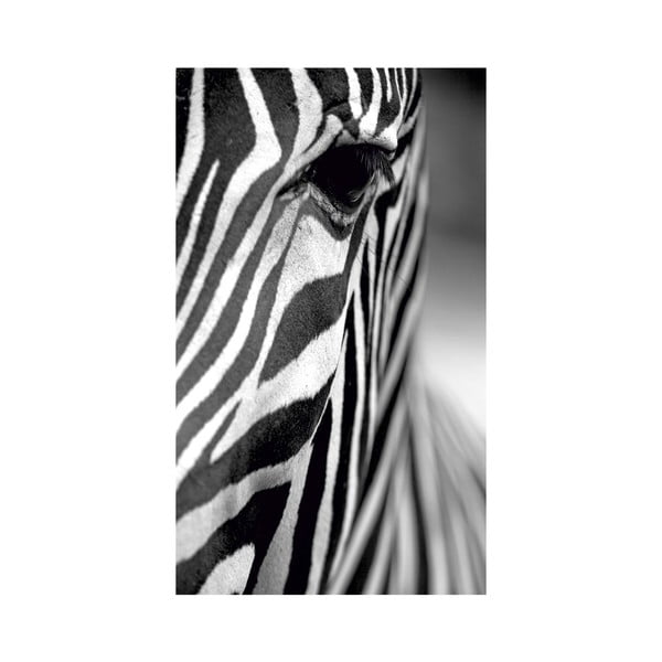 Tablou Black&White Zebra, 41 x 70 cm