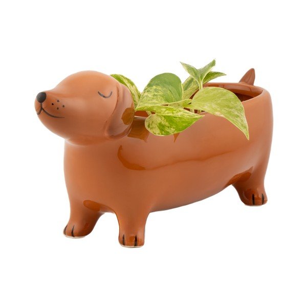 Ghiveci decorativ din ceramică Sausage Dog – Sass & Belle-image-4