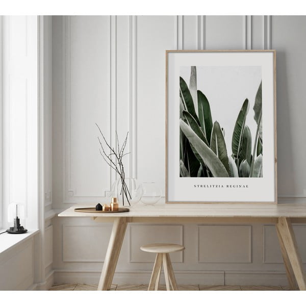 Tablou 50x70 cm Strelitzia – Styler-image-1
