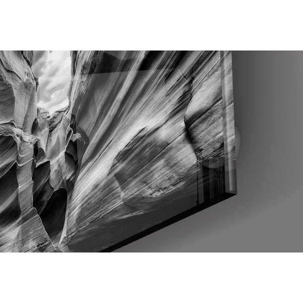 Tablou din sticlă Insigne Black and White-image-1