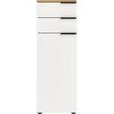 Dulap de baie alb înalt 39x111 cm Menen – Germania