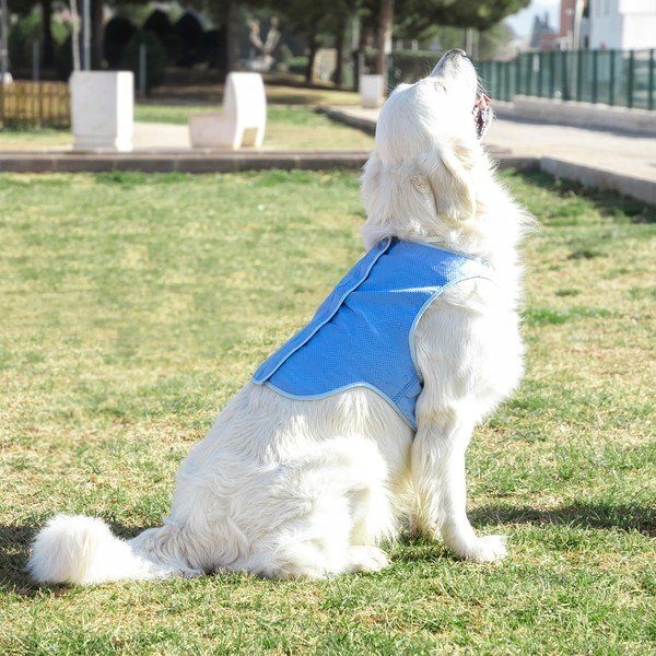 Vestă cu efect de răcire pentru animale mari de companie InnovaGoods, măr. L-image-3