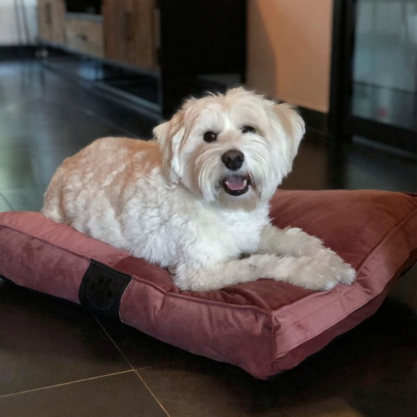 Pat pentru animale de companie roz 75x55 cm Middle Stitch - Ego Dekor-image-1