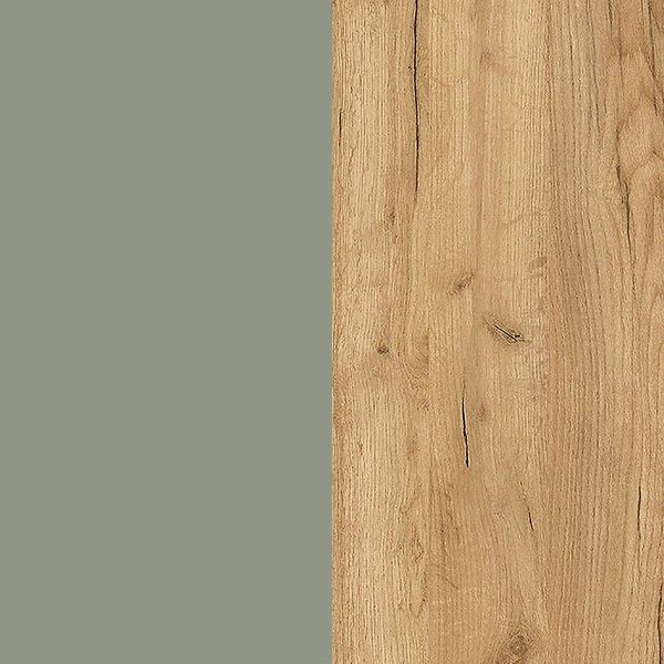 Pantofar verde prăfuit cu deschidere înclinată/suspendat cu aspect de lemn de stejar 100x83x18 cm Ameca – Germania-image-4