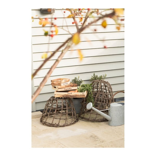 Suport din lemn de salcâm pentru sare și piper T&G Woodware Glorious-image-2
