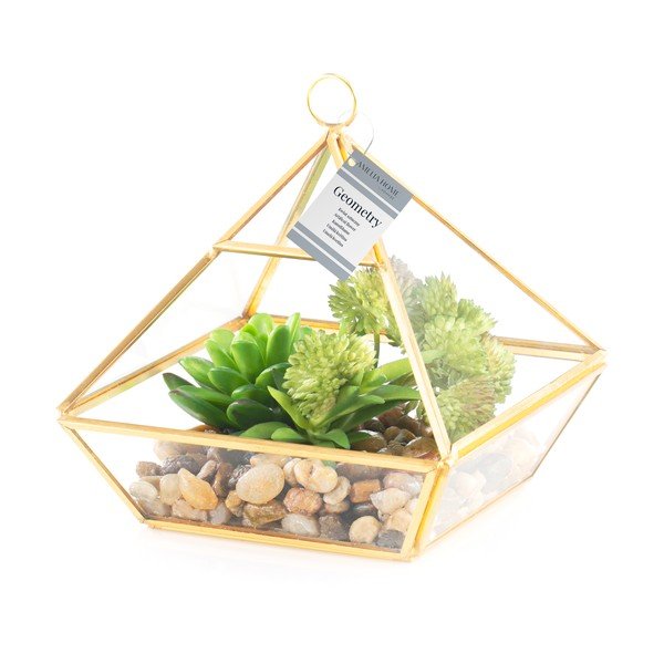 Suculentă artificială (înălțime 15,5 cm) Geometry – AmeliaHome