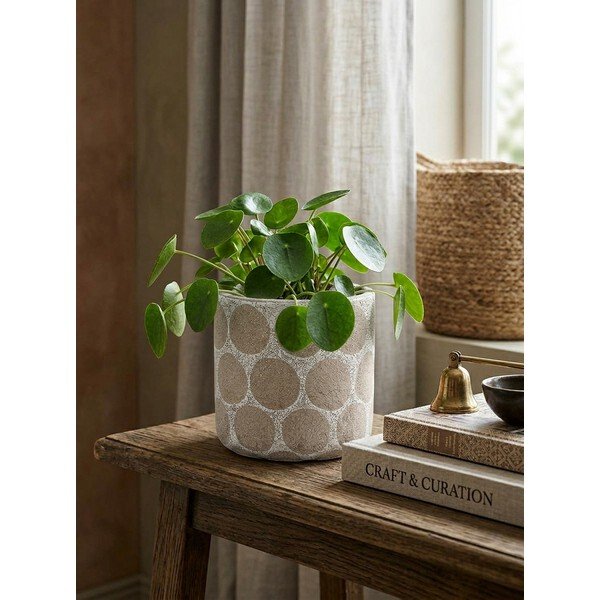 Ghiveci decorativ din teracotă handmade ø 12 cm Felan – Bloomingville-image-1
