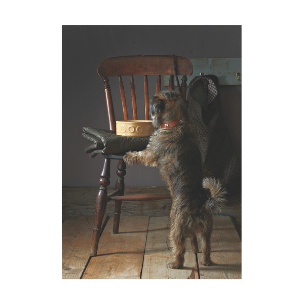 Bol din ceramică pentru câini Mason Cash Dog Cane, ø 25 cm-image-4