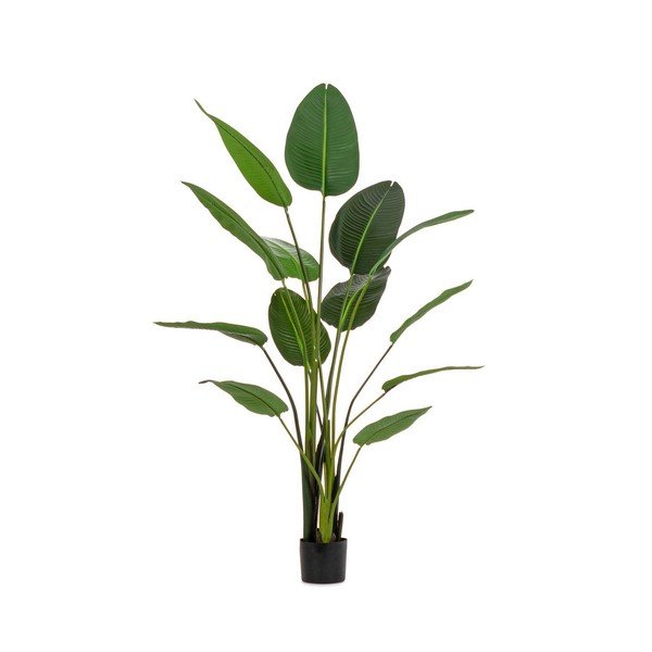 Plantă artificială (înălțime 185 cm) Sterilizia – Bizzotto