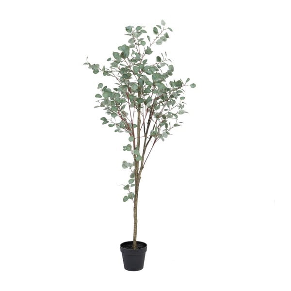 Eucalipt artificial (înălțime 180 cm) Eucalyptus – Ixia