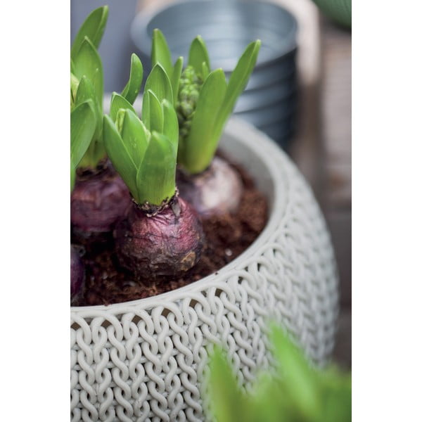 Ghiveci din plastic suspendat și de perete ø 28 cm Cozy – Keter-image-4