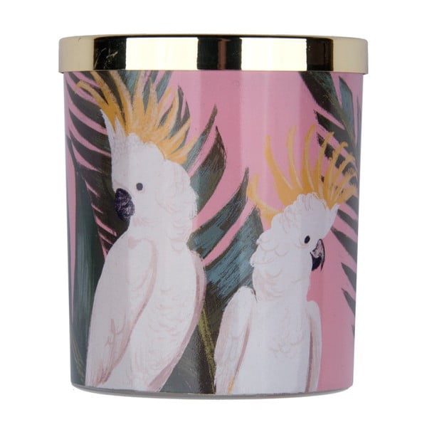 Lumânare cu aromă de rodie Tri-Coastal Design Parrot