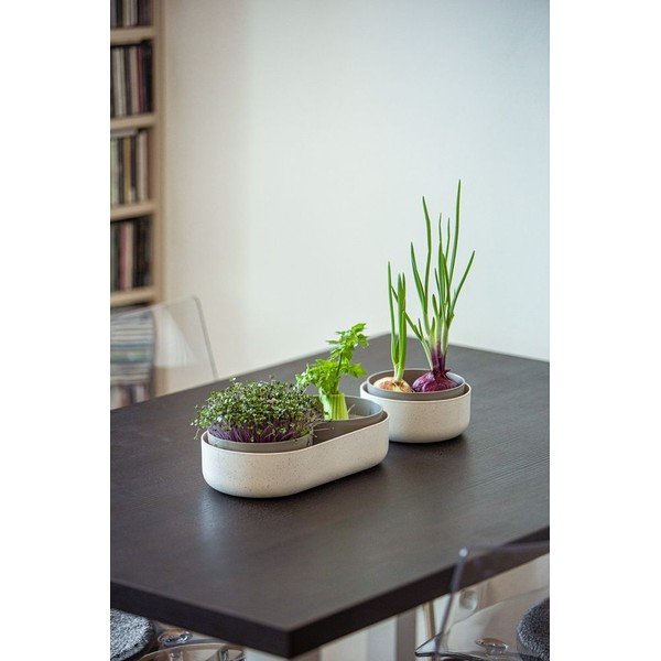 Ghiveci din plastic ø 16 cm Microgreens – Plastia-image-2
