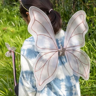 Aripi de fluture pentru copii Fairies in the Garden - Rex London