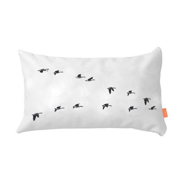 Set 2 fețe de pernă din bumbac Blanc Trip-image-4