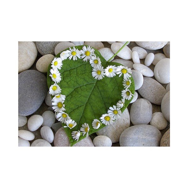 Covoraș Zerbelli Aretto, 75 x 52 cm-image-2