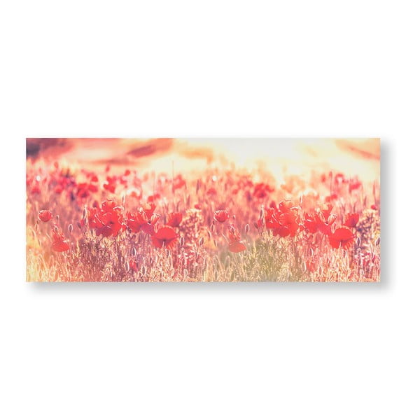 Tablou Graham & Brown Peaceful Poppy Fields, 100 x 40 cm