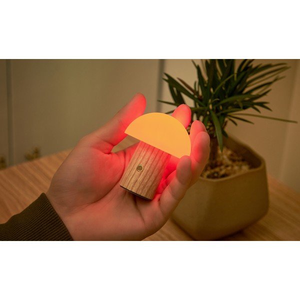 Veioză în culoare naturală LED cu intensitate reglabilă din lemn de frasin (înălțime 7 cm) Alice – Gingko-image-4