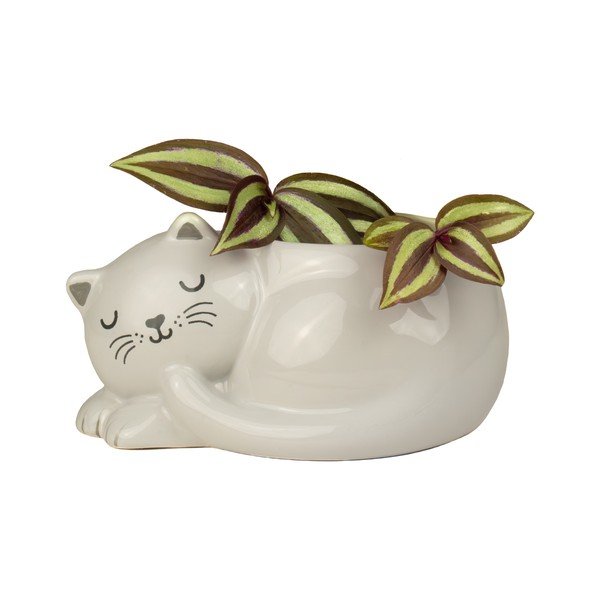 Ghiveci decorativ din ceramică Sleeping Cat – Sass & Belle-image-1