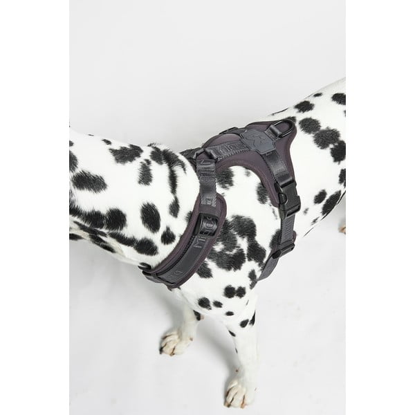 Ham gri închis L lungime 42 cm Modena Asphalt L – MiaCara-image-3