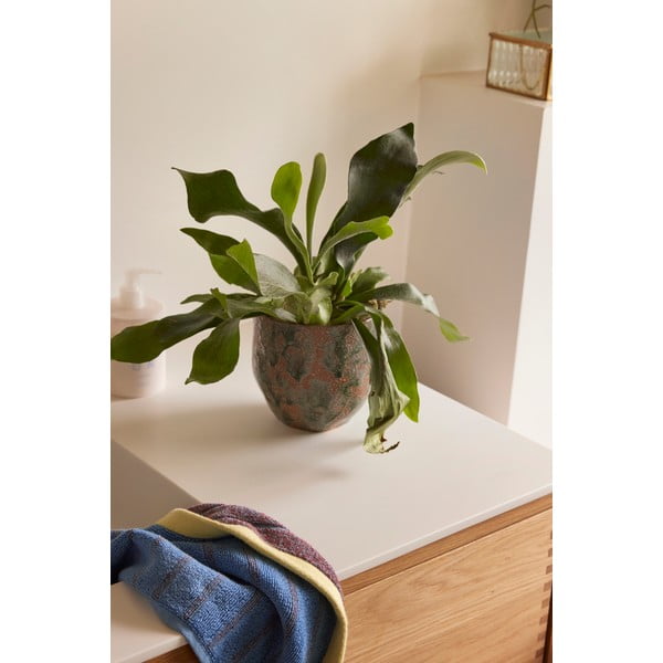 Ghivece decorative 2 buc. din ceramică handmade ø 15 cm Normu – Hübsch-image-3