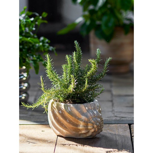 Ghiveci decorativ din gresie Corelia – Bloomingville-image-1