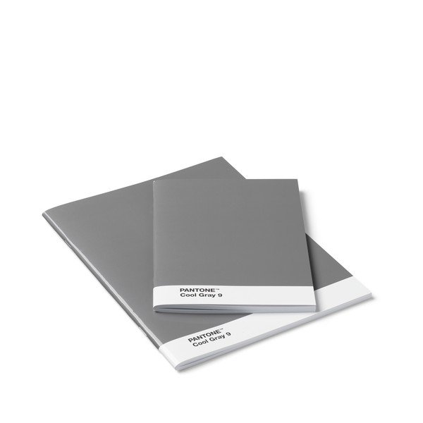 Set 2 caiete Pantone, gri