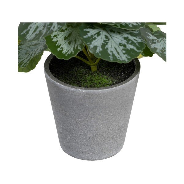 Plantă artificială (înălțime 21,5 cm) Saxifraga – Ixia-image-2