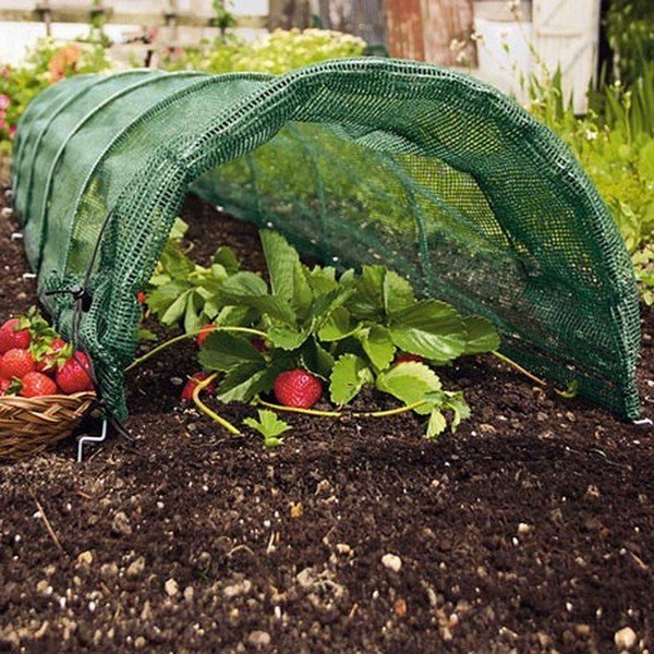 Material textil pentru grădină – Garden Pleasure-image-1