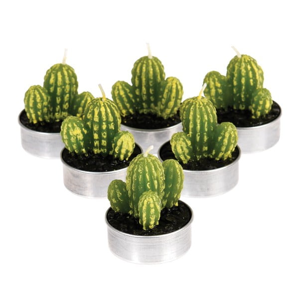 Set 6 lumânări în formă de cactus Rex London Desert In Bloom