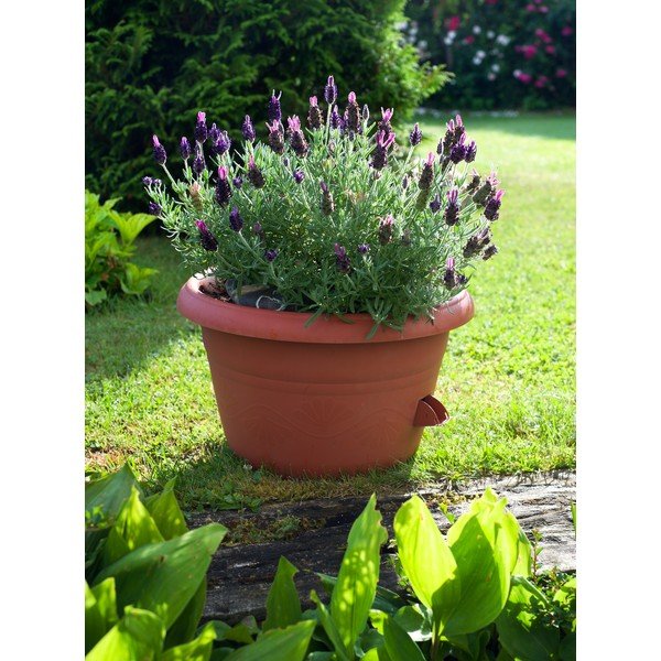 Ghiveci cu sistem de auto-udare Plastia Siesta, ø 25 cm, maro-image-1