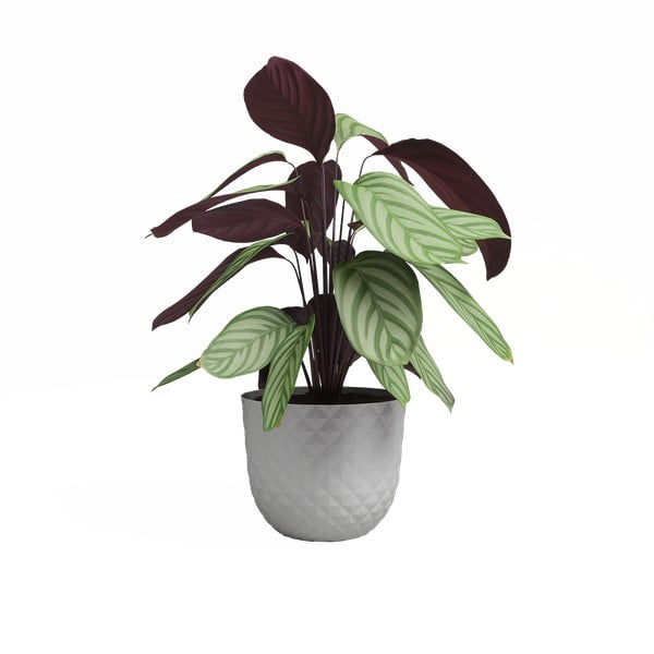 Ghiveci din plastic reciclat ø 20 cm Havana – Artevasi-image-2