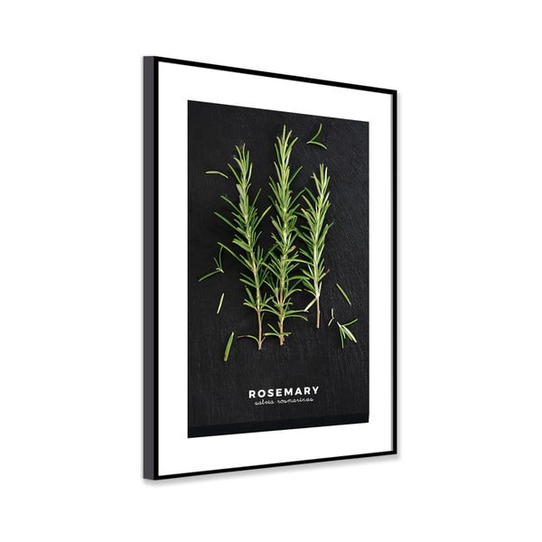 Tablou 50x70 cm Rosemary – Styler-image-3