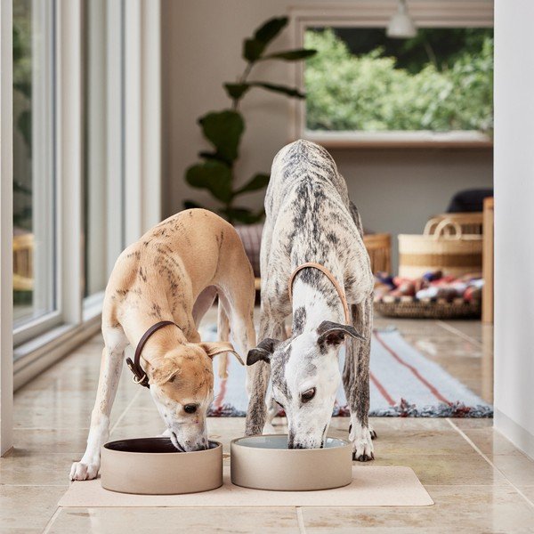 Bol pentru animale pentru câini din ceramică ø 17 cm Sia – OYOY Living Design-image-3