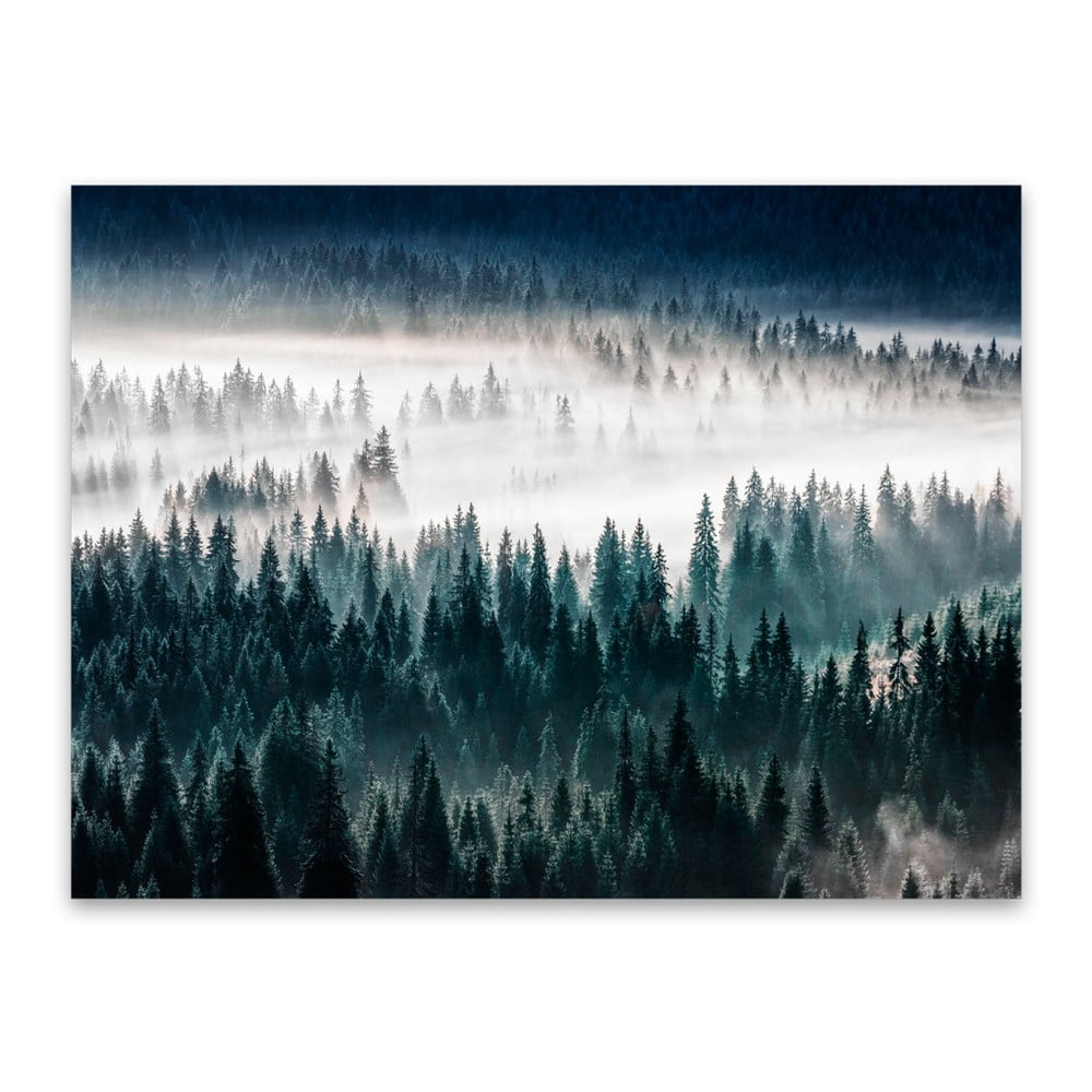 Tablou Styler Glasspik Misty Forest, 80 x 120 cm
