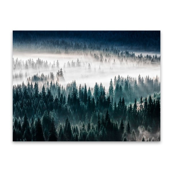 Tablou Styler Glasspik Misty Forest, 80 x 120 cm