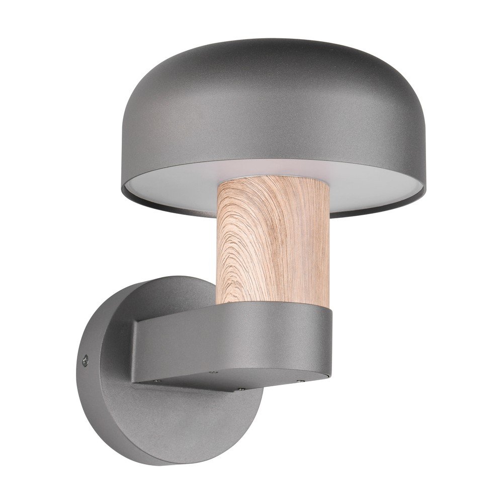 Corp de iluminat pentru exterior, de perete (înălțime 24,5 cm) Fraser – Trio