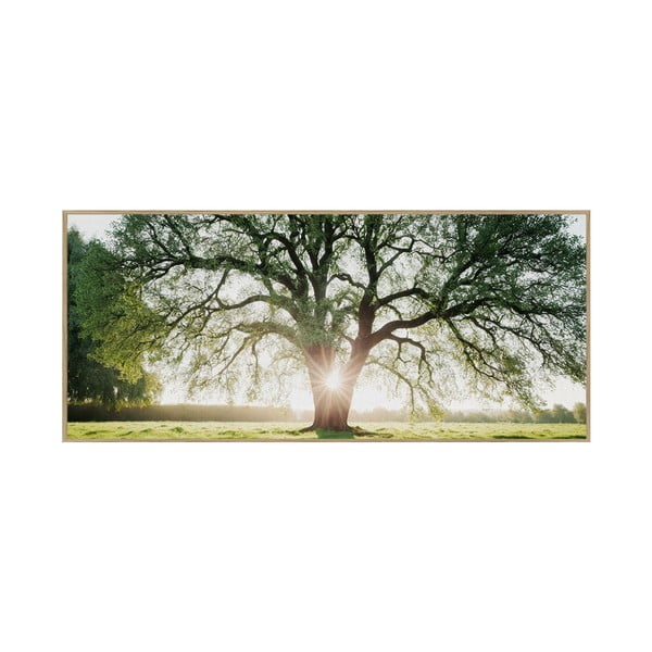 Tablou 150x60 cm Tree in the Sun – knor