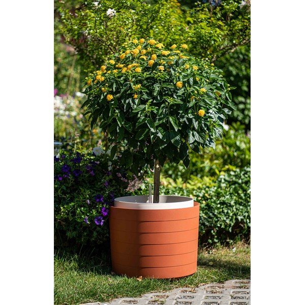Ghiveci cu sistem de auto-irigare Plastia Berberis, ø 55 cm, maro - vișiniu-image-1