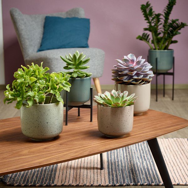 Ghiveci din ceramică Big pots Bari, ø 13 cm, bej-image-1