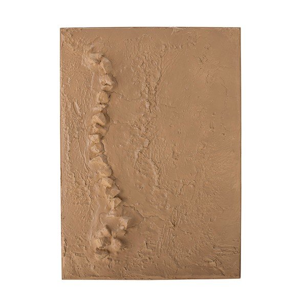 Tablou 50x70 cm Sisken – Bloomingville