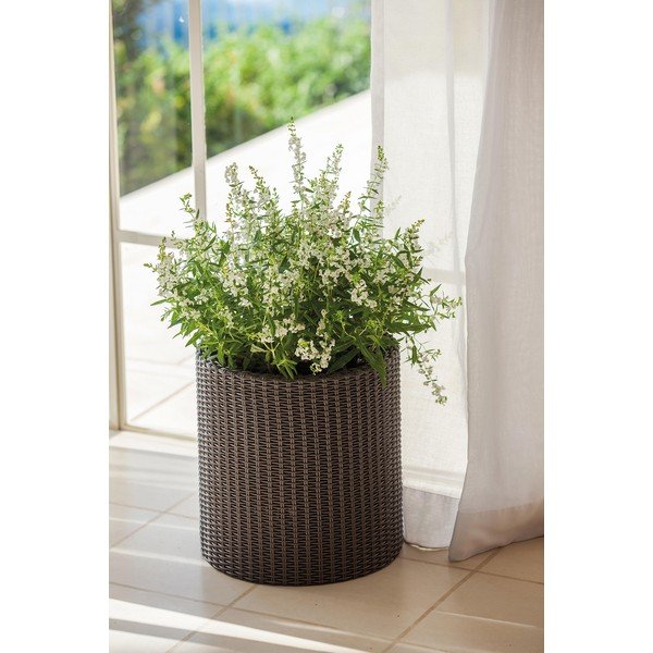 Ghiveci din plastic ø 28 cm Cylinder – Keter-image-1