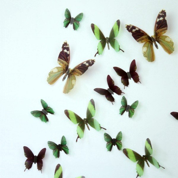 Set 18 autocolante 3D Ambiance Butterflies, verde-image-1