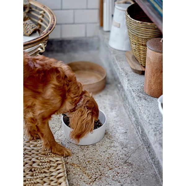 Bol pentru câini din gresie ceramică ø 21,5 cm Buddy – Bloomingville-image-1