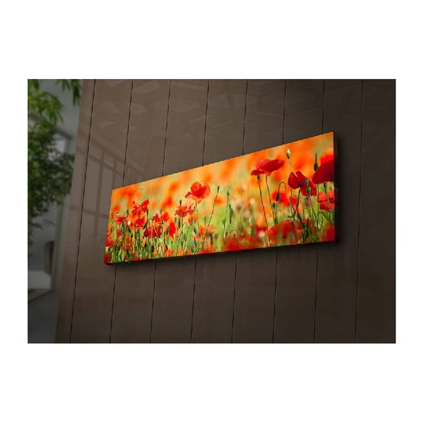 Tablou cu iluminare Sean, 90 x 30 cm-image-1