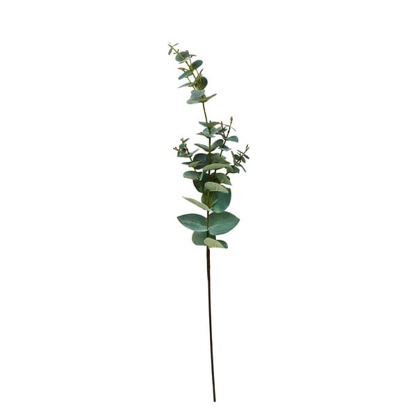 Plantă artificială Eucalipt (înălțime 71 cm) Kvist – Villa Collection