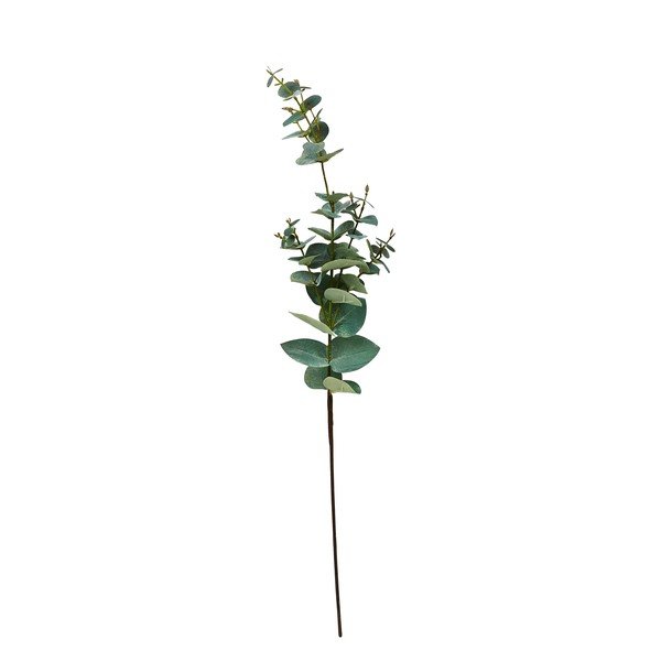 Plantă artificială Eucalipt (înălțime 71 cm) Kvist – Villa Collection