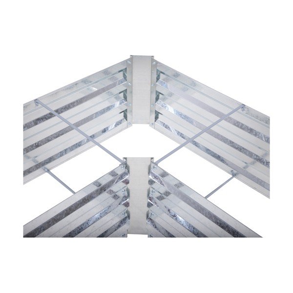 Pat ridicat de plante Magnolia – Garden Pleasure-image-2