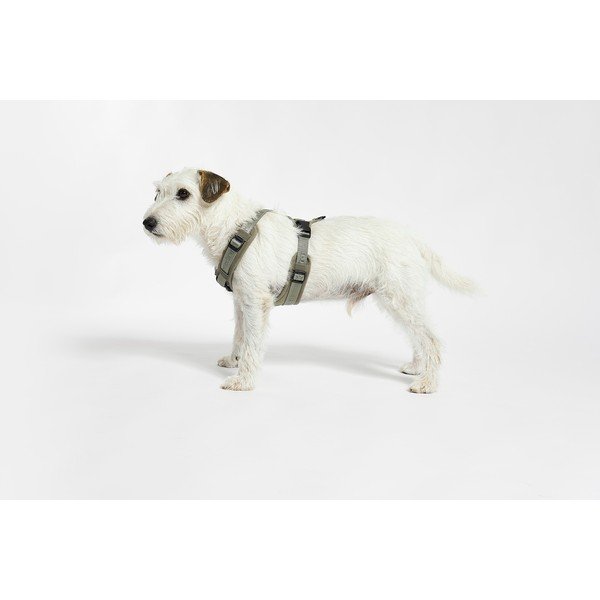 Ham verde S lungime 30 cm Modena Grolive S – MiaCara-image-1