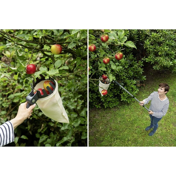 Culegător de fructe telescopic - Maximex-image-1